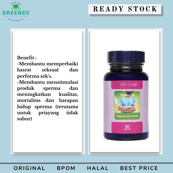 Jual Wellness Tribulus Stack Kapsul Terrestris Extract Bpom Original