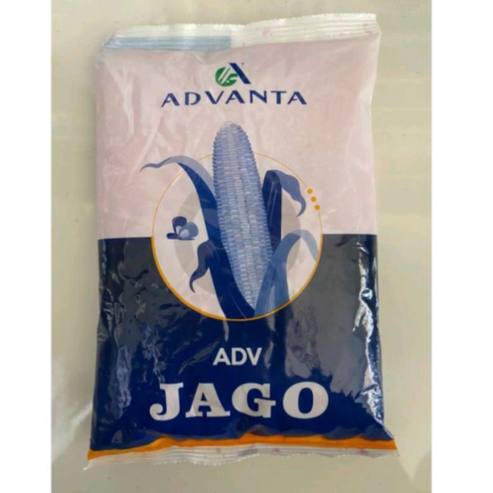 Benih jagung hibrida adv Jago advanta 1Kg