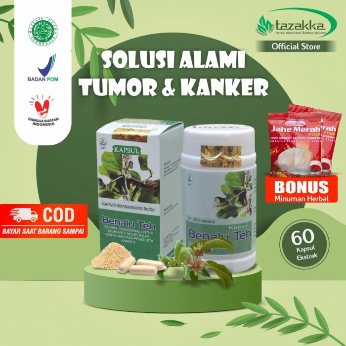 

ORIGINAL MURAH Kapsul Benalu Teh Asli Obat Kanker Tazakka Original Halal BPOM Isi 60