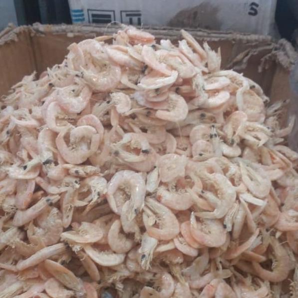 

Yang Terbaik--Udang Kering Medan 1Kg