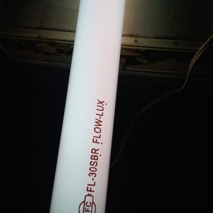 lampu TFC 30 watt