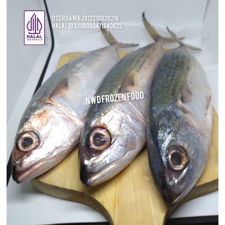 

Ikan Kembung Bersih