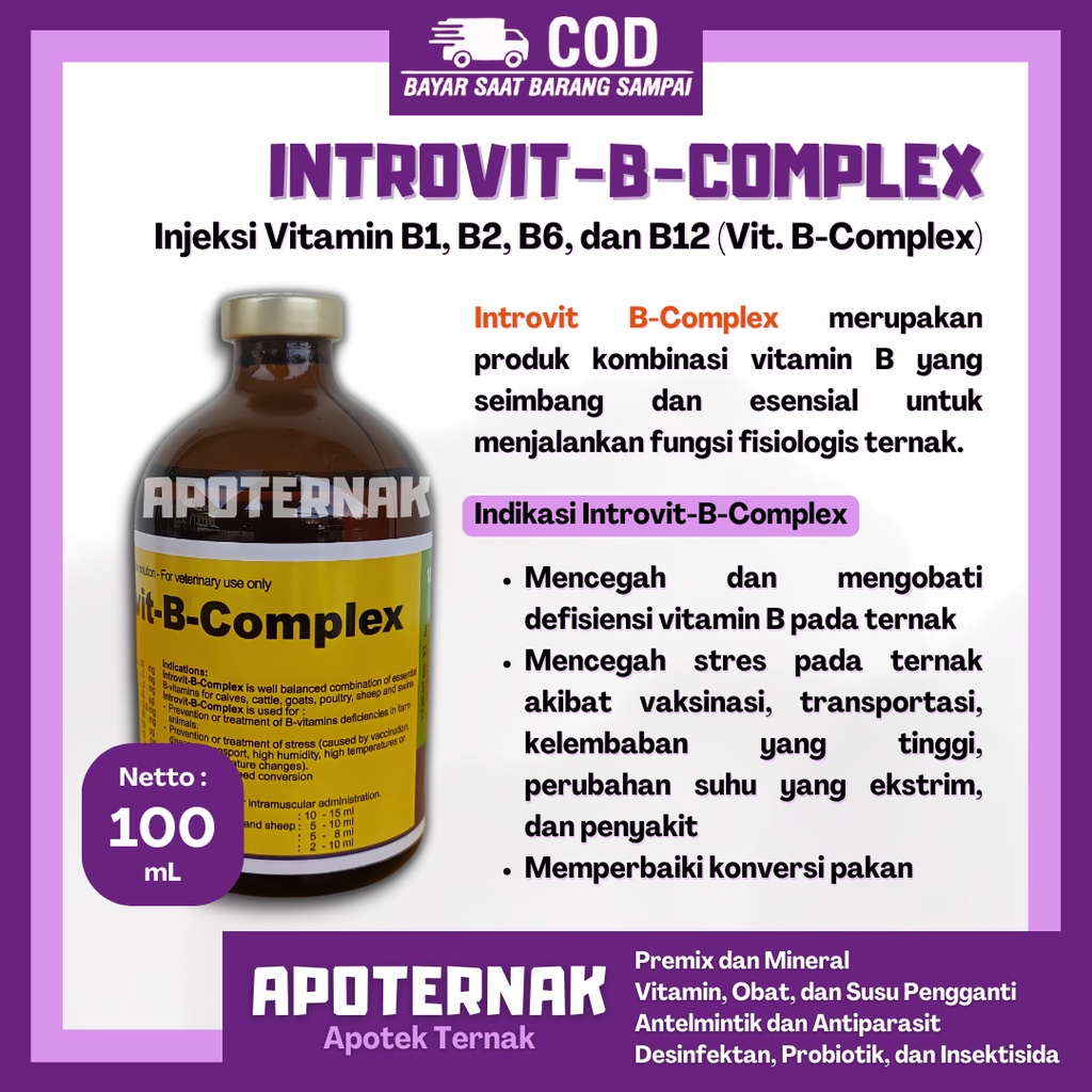 INTROVIT B COMPLEX | Vitamin B Komplek Konsentrasi Tinggi + Biotin | 100 mL | TMC | Apoternak