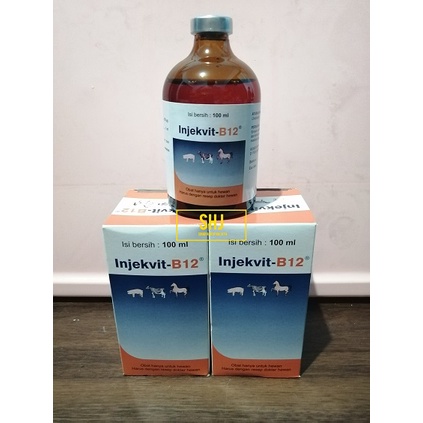 INJEKSI VITAMIN B12/INJEKVIT B12 MEDION 100ML
