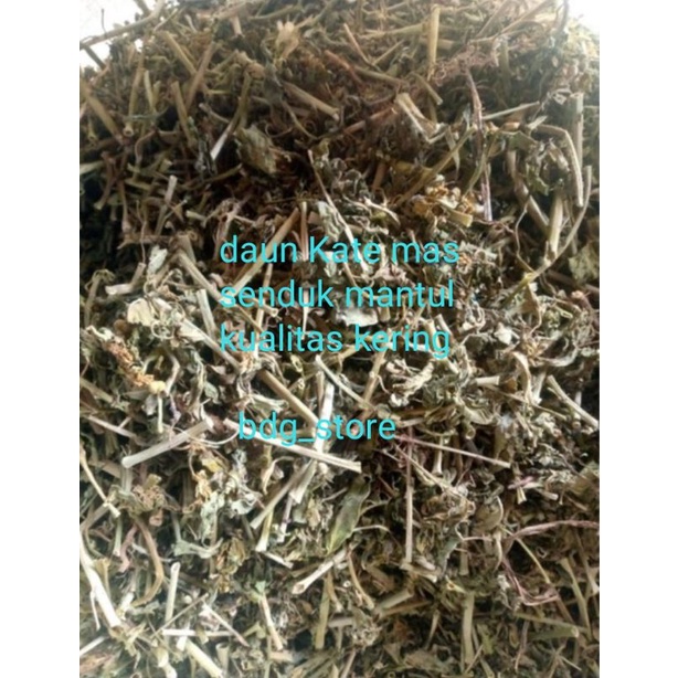 

daun kate mas petik mas senduk mantul kualitas KERING