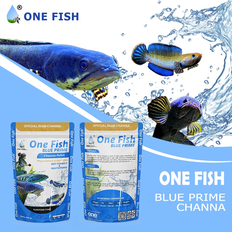 PELLET IKAN CHANNA BLUE PRIME - ONE FISH
