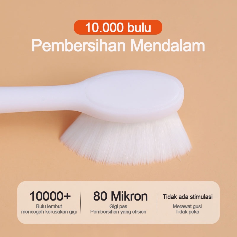 Sikat Gigi Bayi / Anak Bulu Halus Lembut Training Tooth Brush Karakter Panda / 257