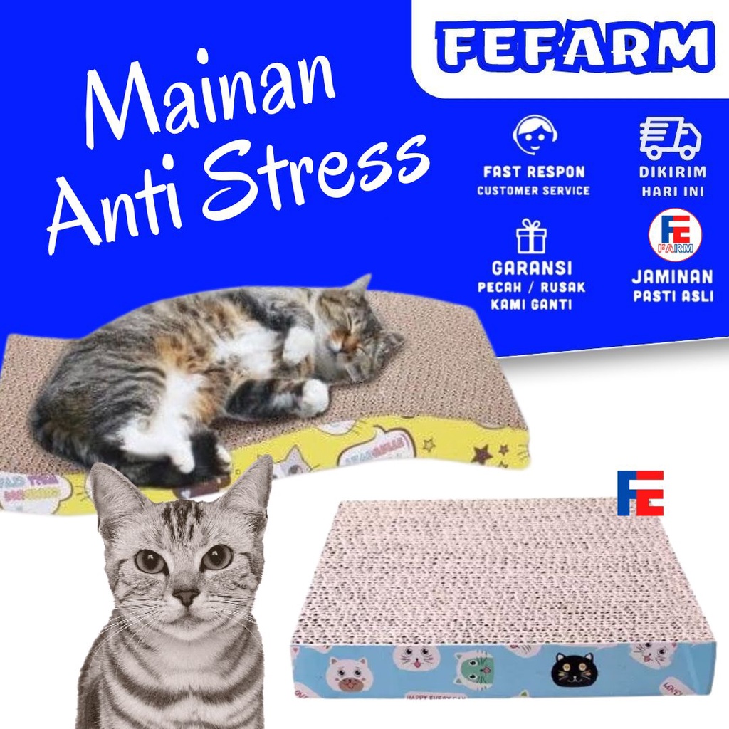 CAT SCRATCHER - MAINAN KUCING GARUKAN KUCING CAT SCRATCHING BOARD FEFARM