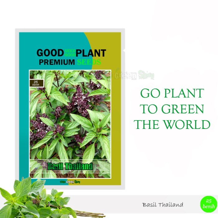 25 biji - Benih Bibit Kemangi Basil Thai Tanaman Herbal Premium
