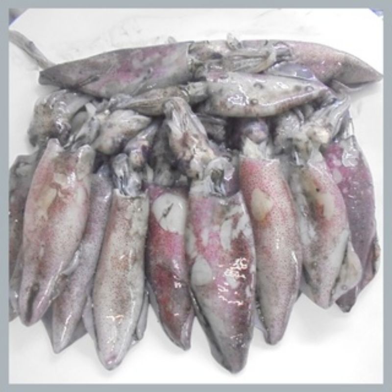 

IKAN MENTAH FROZEN