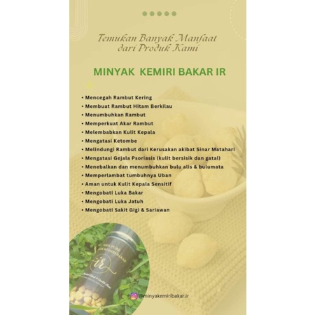 MINYAK KEMIRI BAKAR IR
