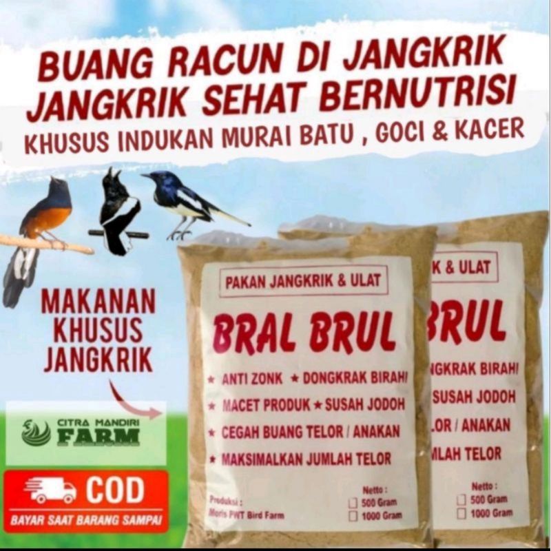 ANTI ZONK PAKAN jangkrik BRAL BRUL untuk indukan murai batu