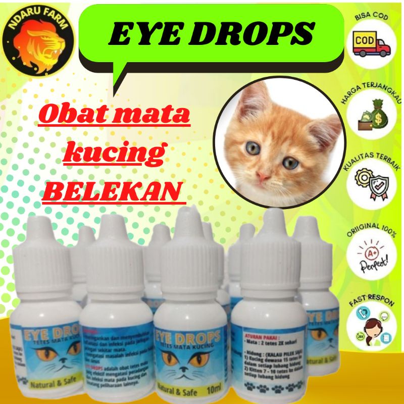OBAT TETES MATA KUCING ANJING / obat MATA KUCING ANJING / OBAT SELAPUT MATA PUTIH / btm NDARUFRAM
