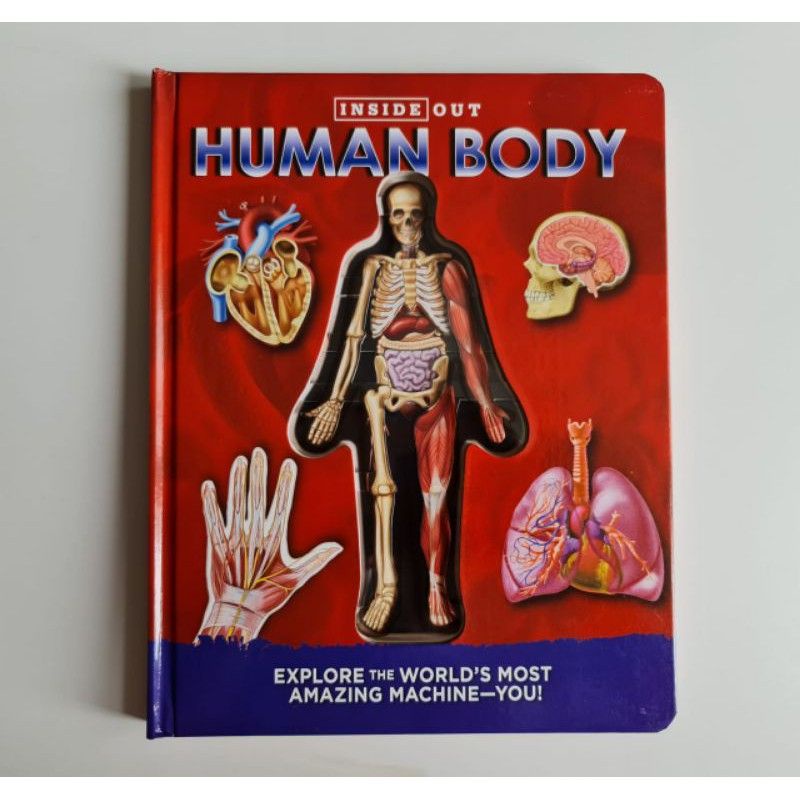Inside Out Human Body