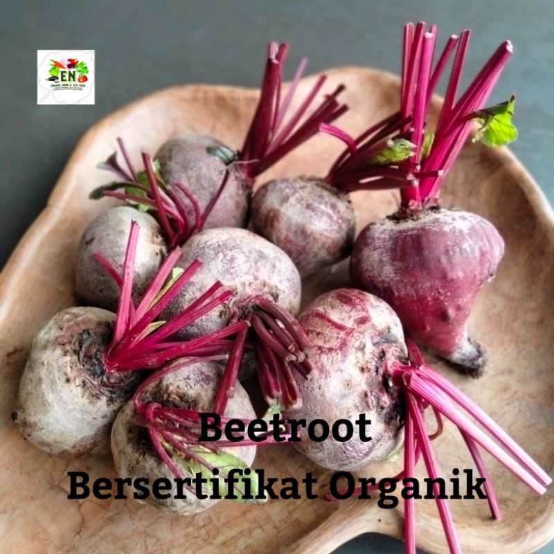 

1kg Buah Beetroot 100% Sertifikat Organik Vegetable Murah Sehat Healthy Life Grosir Supermarket