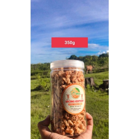 

SNACK KILOAN CEMILAN KACANG KENTUCKY KEMASAN 350g