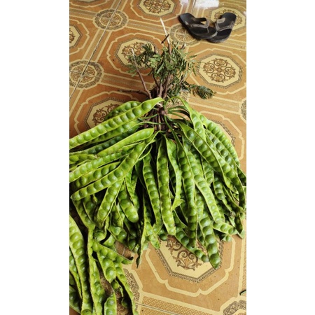 

(1PCS) pete pendek lokal wonogiri pendek per 1 papan/keris/lonjor