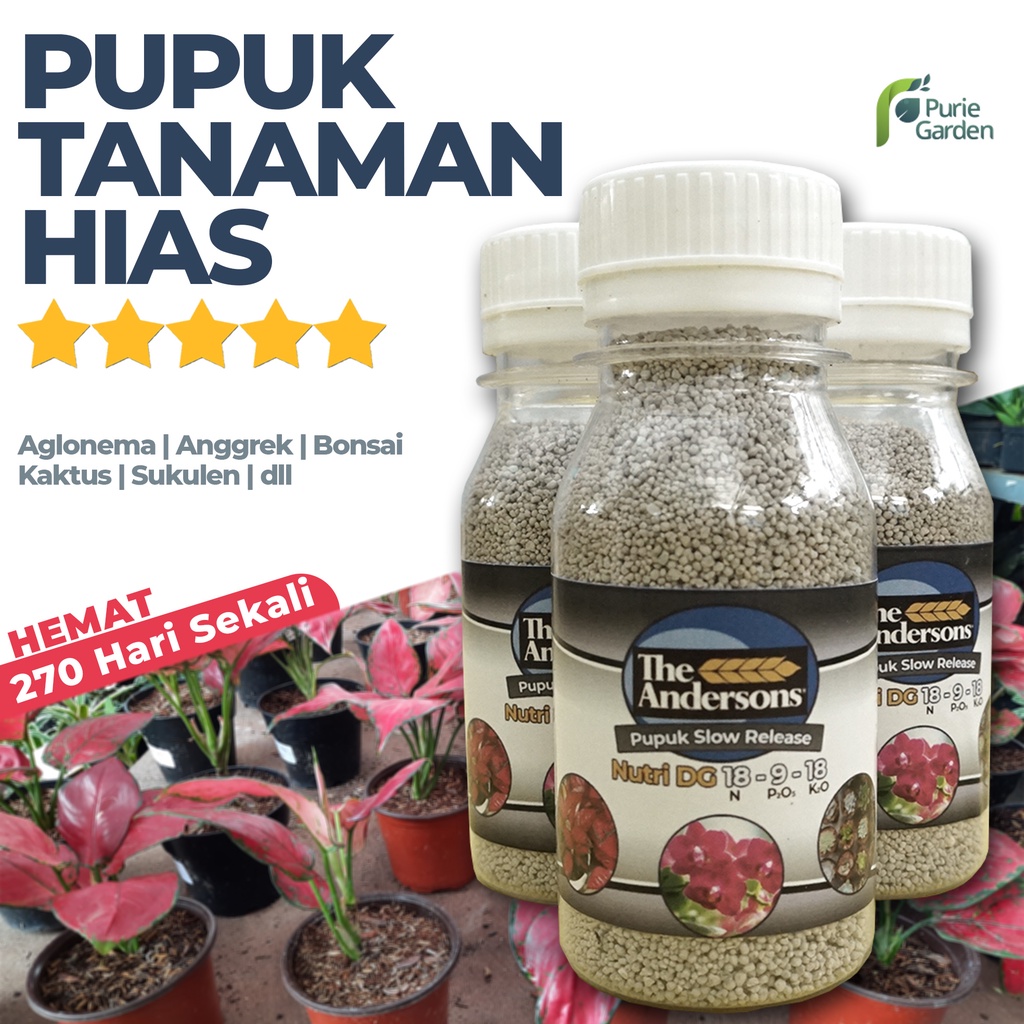 Pupuk Osmocote Dekastar Slow Release Aglonema Anggrek Sayuran Buah Botol PG KDR