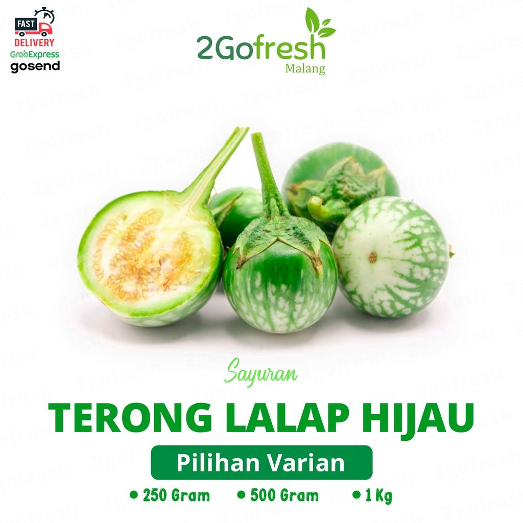 

Terong Hijau Lalap/ Mini/ Kecil Fresh - Sayur Sayuran