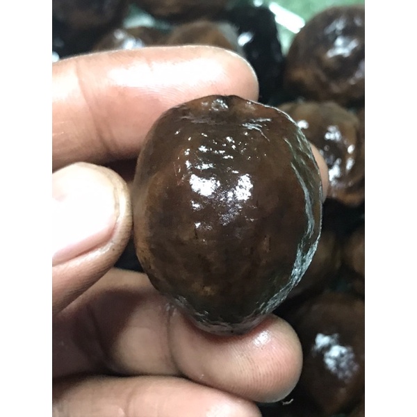 Muncang adu jenis jalim anak CP