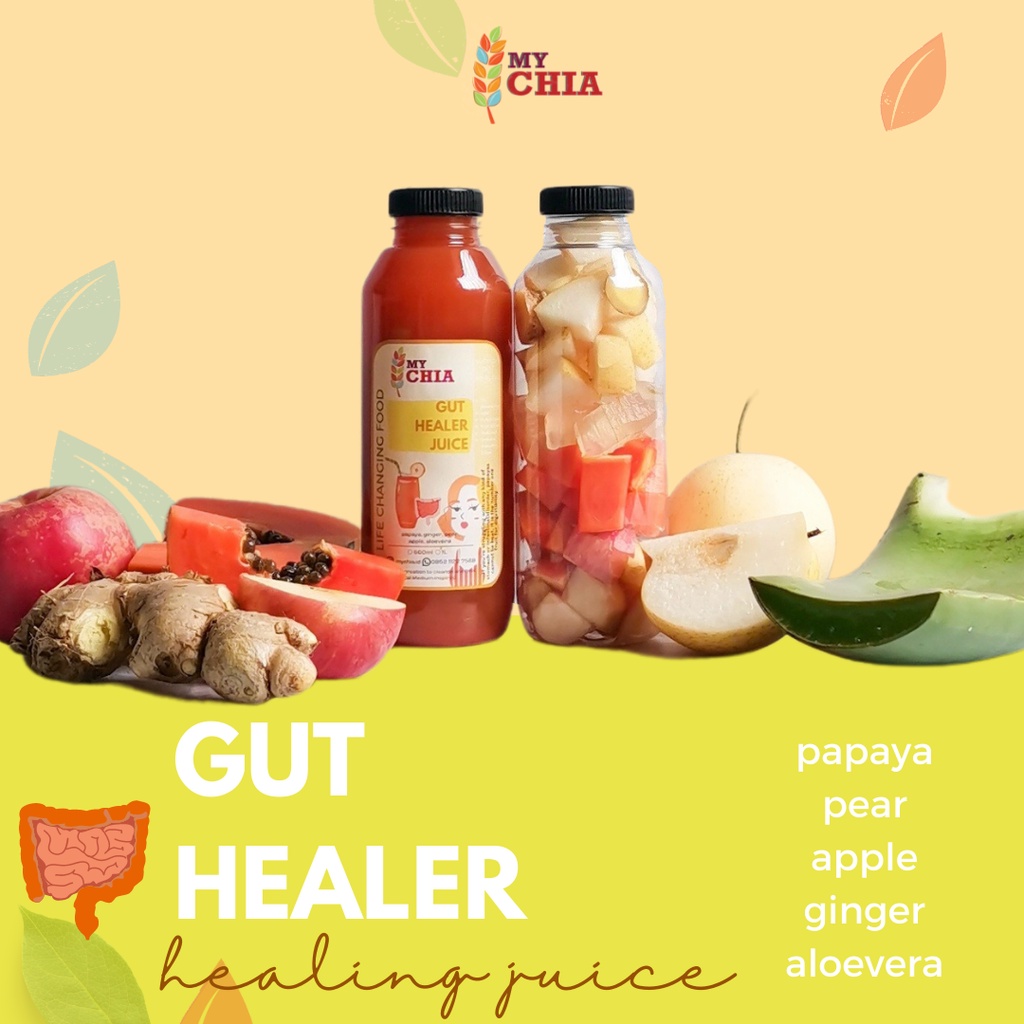 

Gut Healer Healing Juice 500ml Jus Papaya Pepaya Pear Cold Pressed