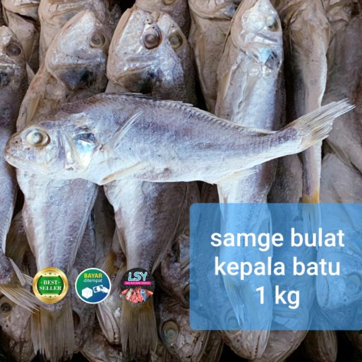 

New Deal--ikan asin samge / kepala batu 1 kg