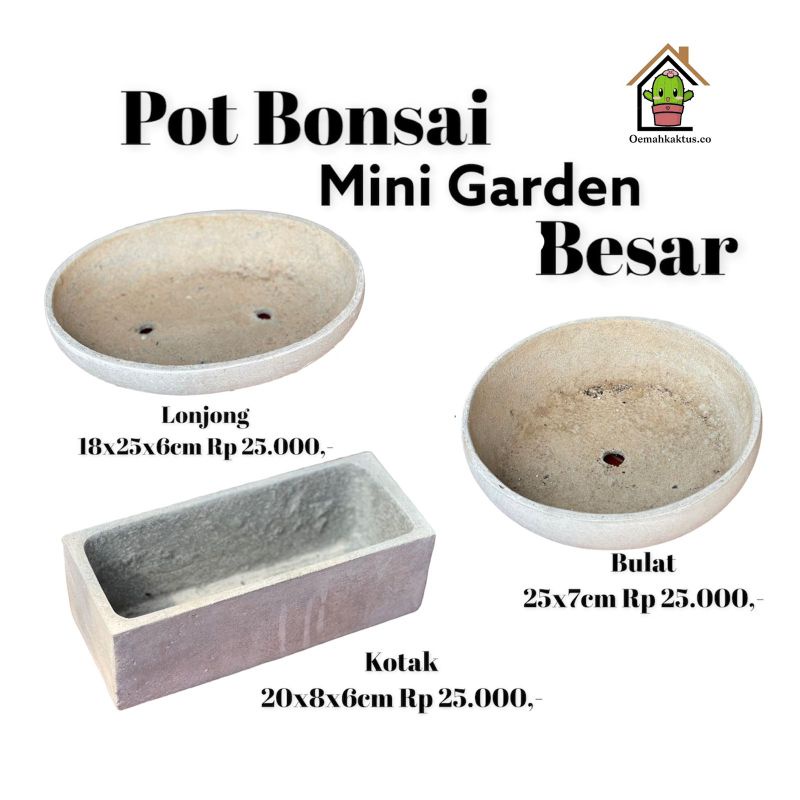 Pot Bonsai Mini Garden Semen Kuat Besar 20-25cm