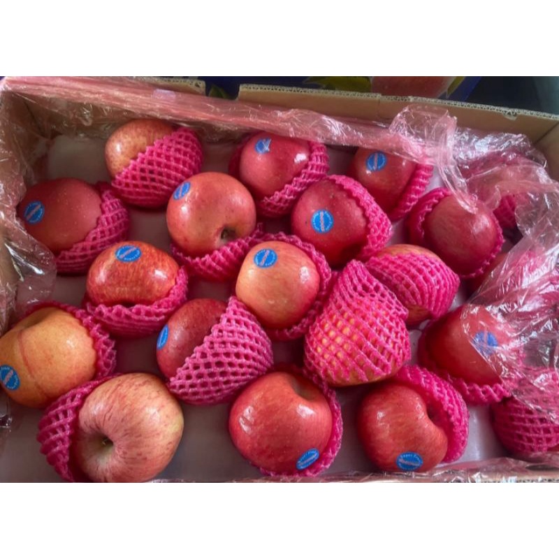 

APEL FUJI 1KG