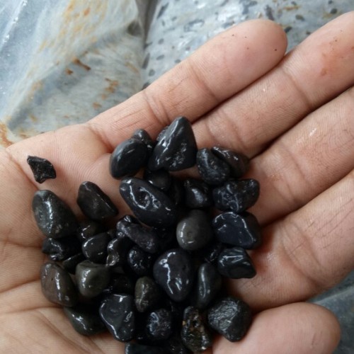 BATU HITAM ALOR BALI 500G SUBSTRAT AQUASCAPE AQUARIUM MEDIA TANAM DEKORASI RUMAH