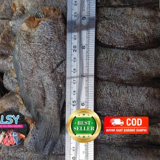 

Import Terlaris ikan asin sepat siam / gurami import kualitas no 1 500 GRAM gas !!