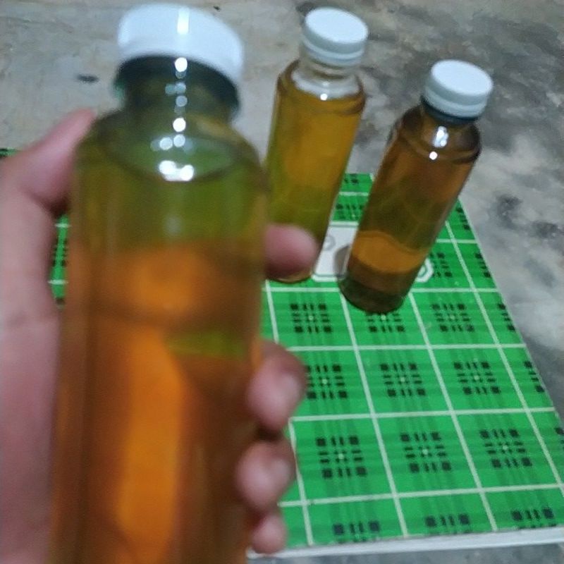 

Madu Lebah Hutan