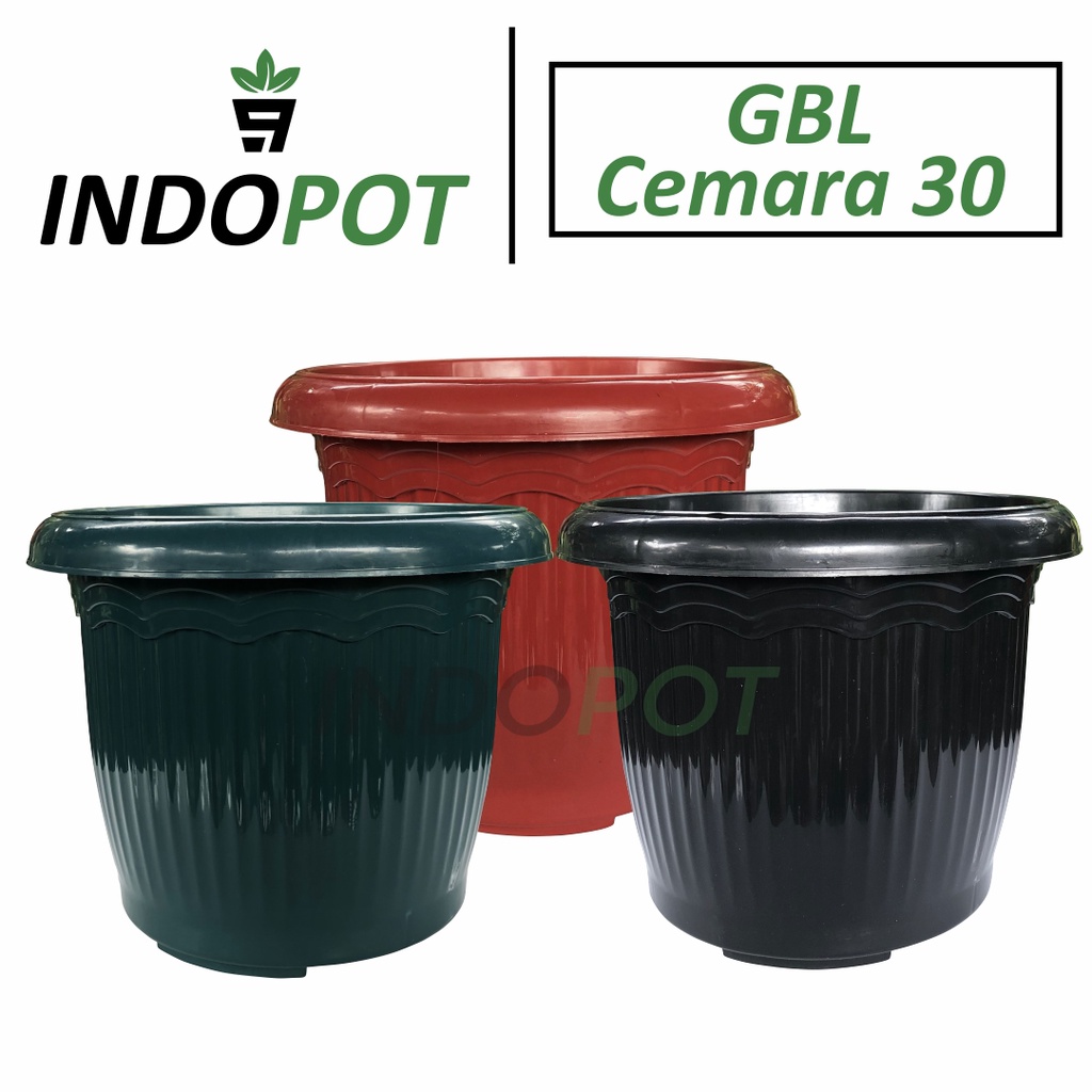 Pot GBL Cemara 30 Besar Tanaman Pot Bunga dan Pohon Buah Besar