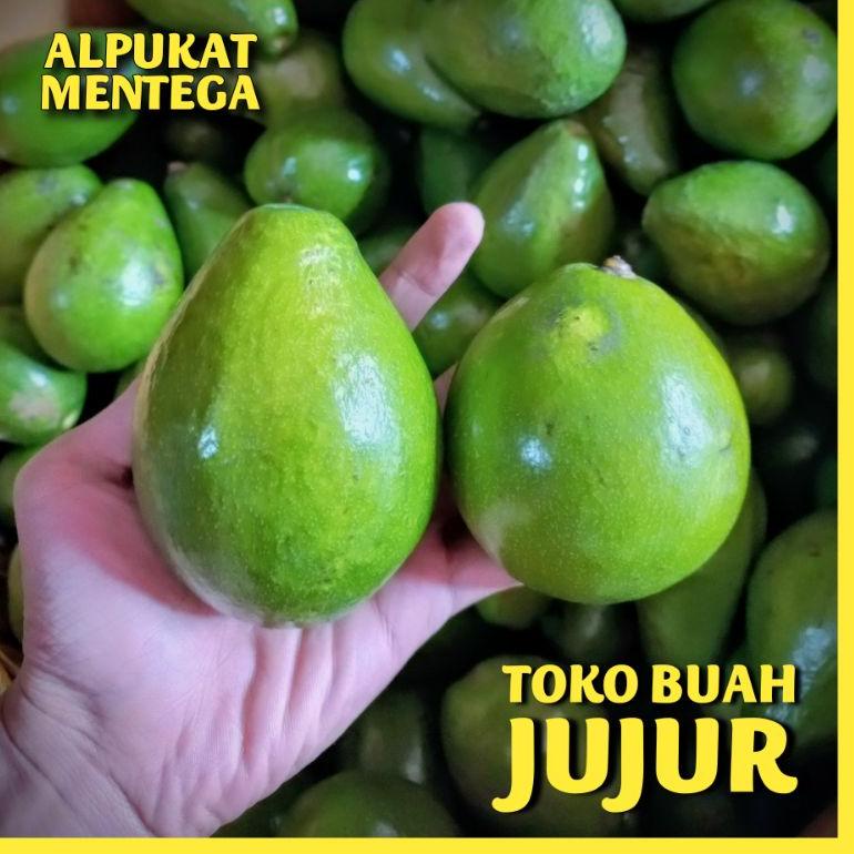 

Buruan beli ALPUKAT MENTEGA BABY SUPER 09