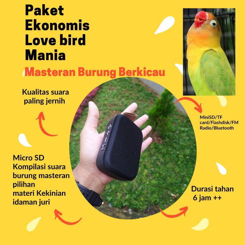 Audio Masteran spesial  Burung Lovebird kualitas Jernih mp3