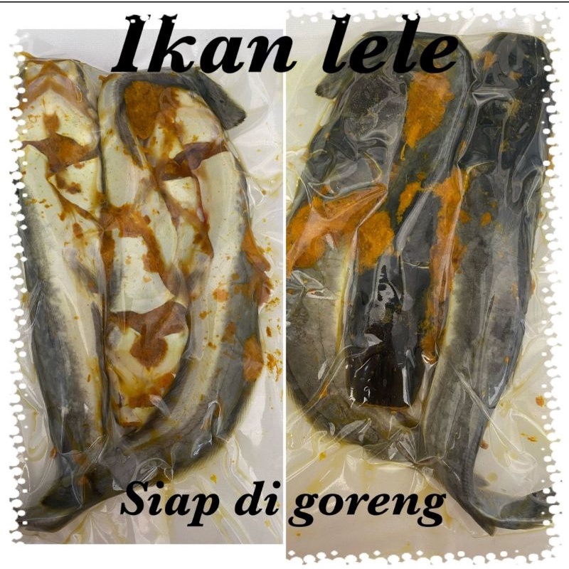 

lele ungkep isi 3 ekor