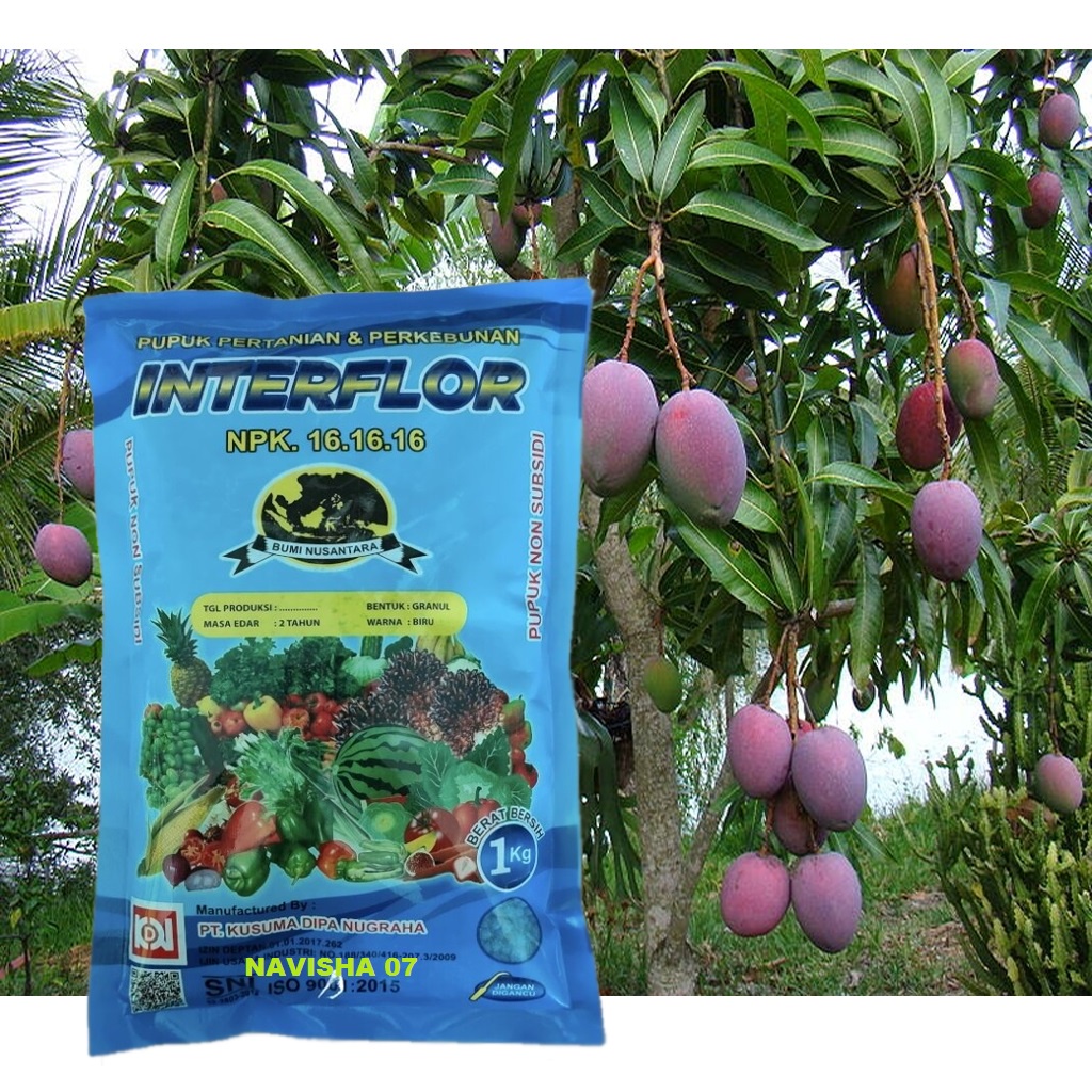 PUPUK INTERFLOR NPK 16.16.16