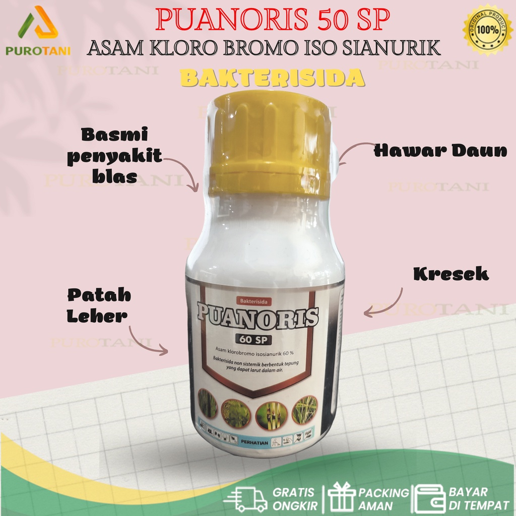 Bakterisida Puanoris 60 SP 100GR BA asam kloro bromo iso sianurik