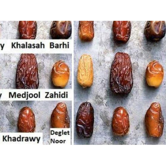 

SALE!!Kurma Medium 500 gr Medjoul Ariha Palestina ( Medjool Medjol Mejoul dates palestine )|SQ6