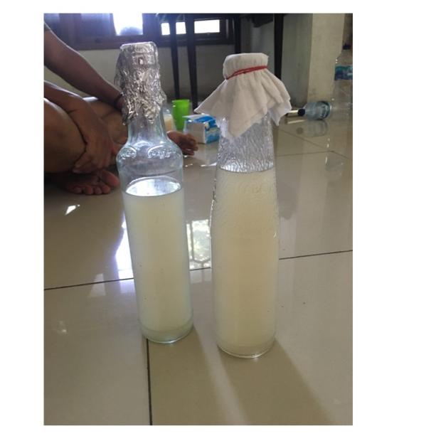 

Wow Murah Meriah.. Bibit / starter nata de coco Z0Z