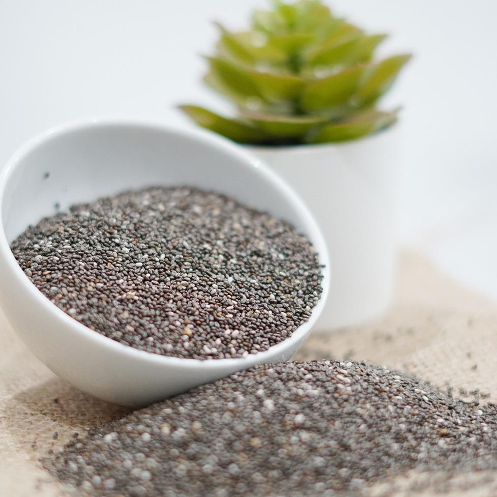 

Discount Today Chiaseed Organik 250 Gram Organic Chiaseed Mexico serbuuu !