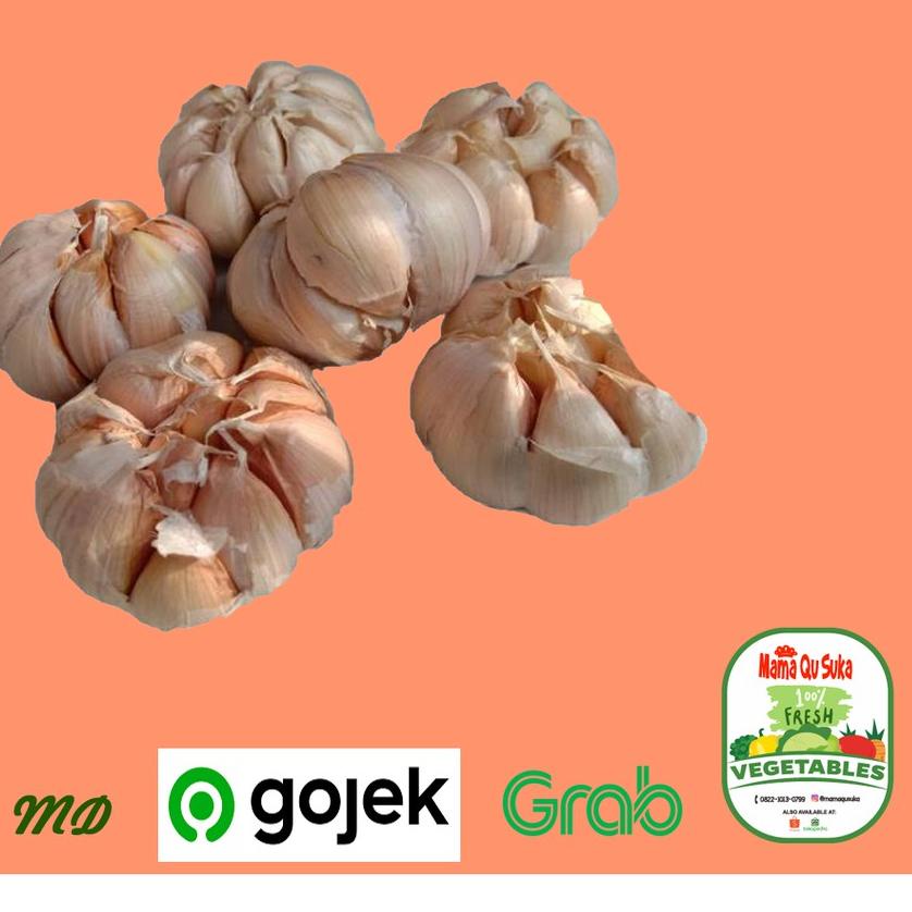 

FREE ONGKIR!Bawang Putih Honan / Banci / Bawang Putih Biasa|SQ6