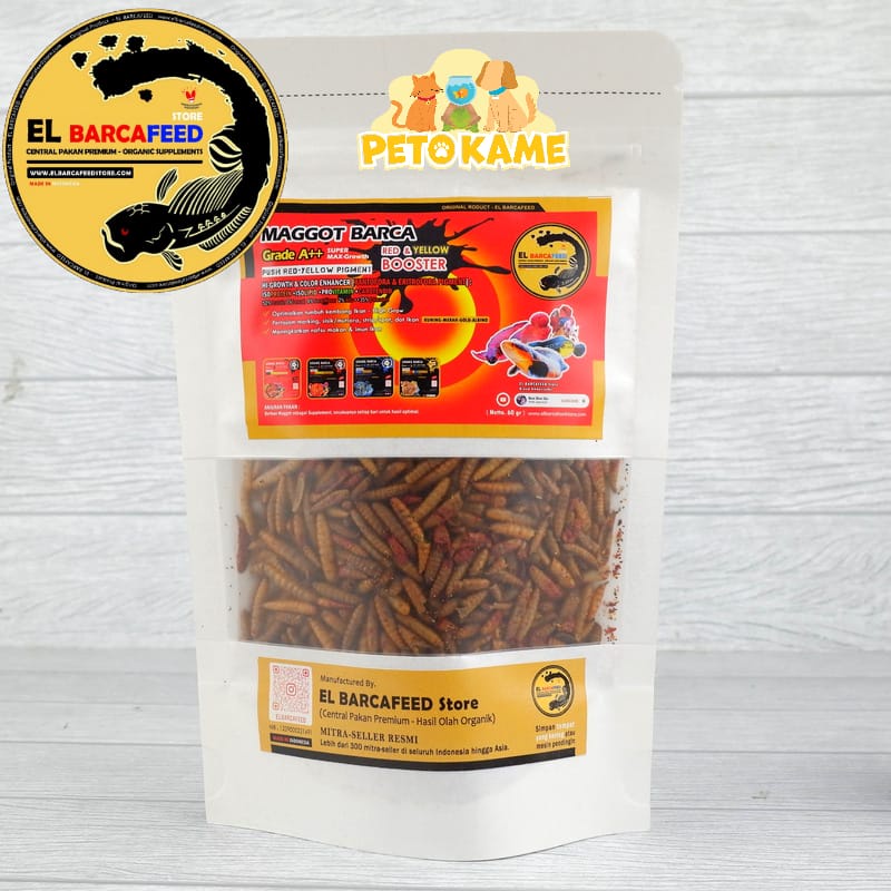 El Barca Maggot BSF Red and Yellow Booster grade A++ | Pakan Channa Auranti, YS/Red maru, Bleheri, R