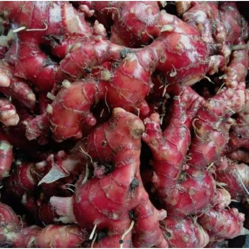 

jahe merah super 250 gram