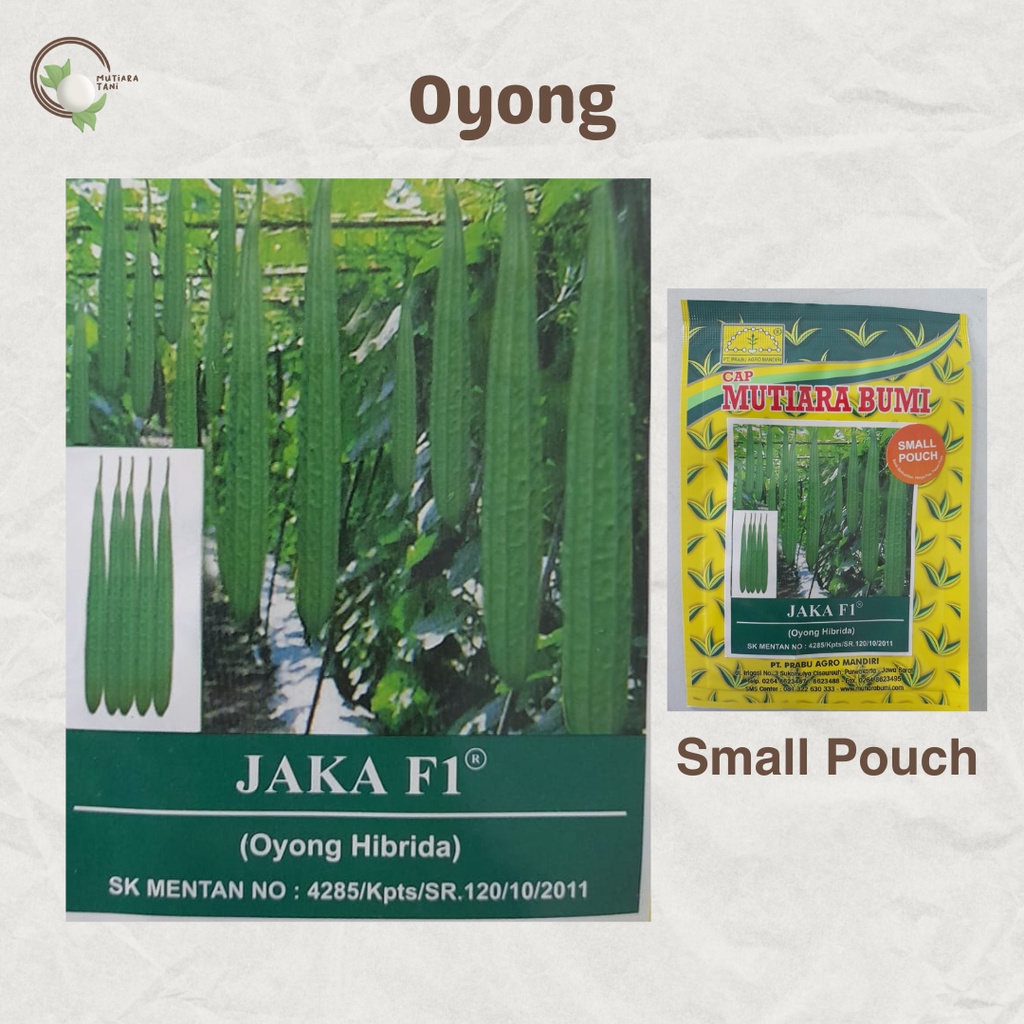 BENIH OYONG JAKA F1 CAP MUTIARA BUMI | Small Pouch