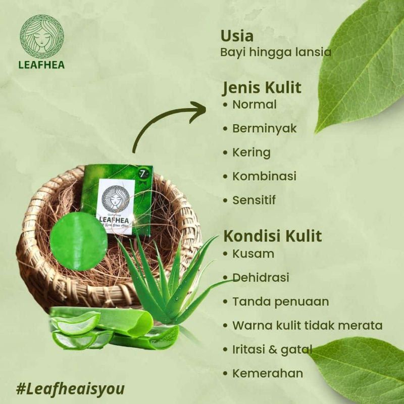 leafhea sabun multifungsi bpom