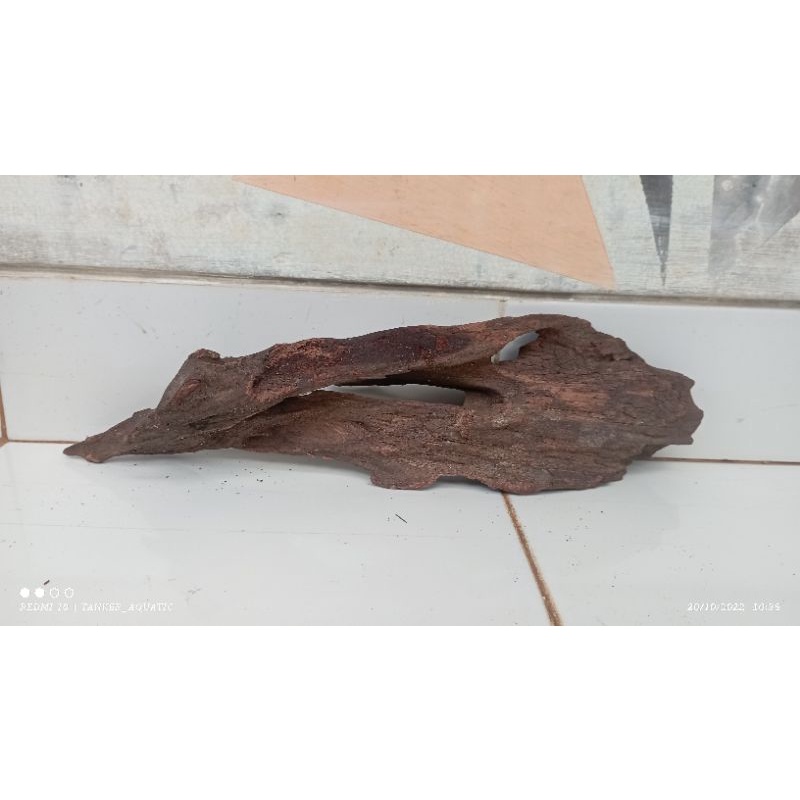 kayu rentek/ kayu aquascape