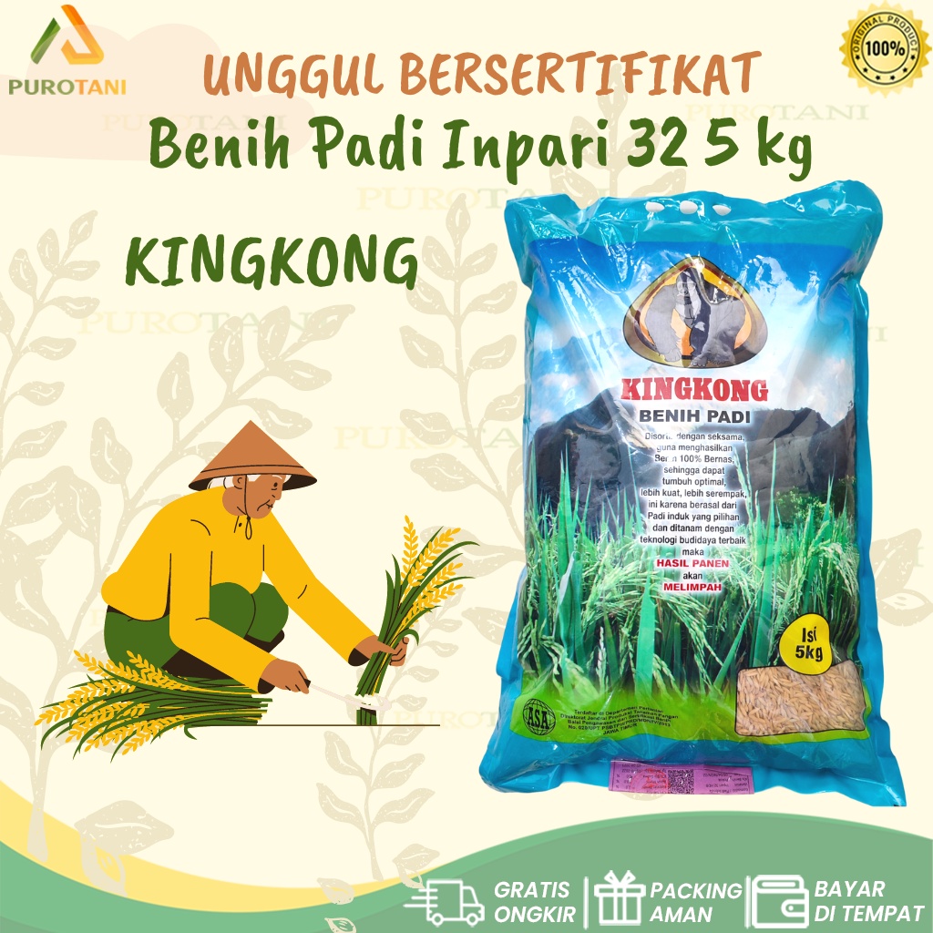 benih padi inpari 32 kingkong 5 kg unggul bersertifikat