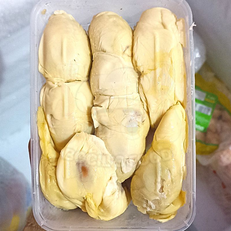 Durian Medan 500g/Durian Sibolga 500g/Durian Padang Pesisir/Durian Nias/Durian Lokal Bali/Durian Kup