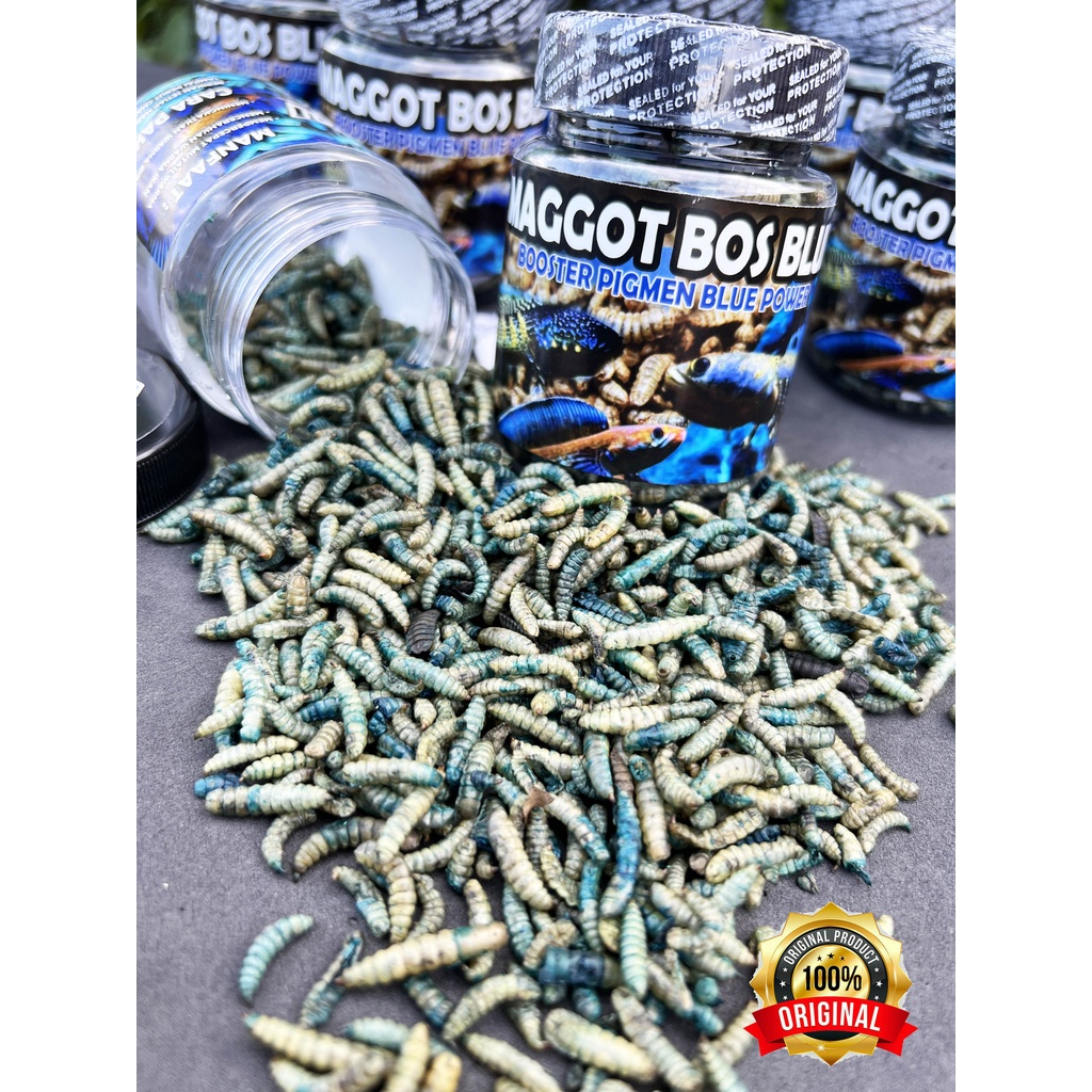 MAGGOT BLUE (BIRU) @BOS BOS QU GRADE A+ FREE STIKER 30 GRAM