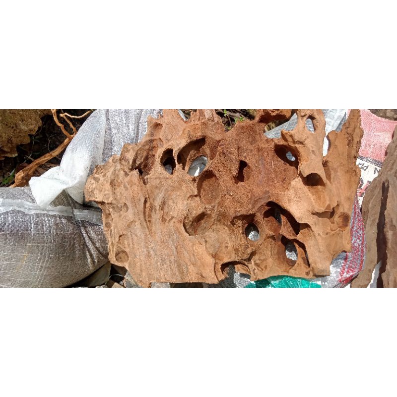 kayu rentek Aquascape